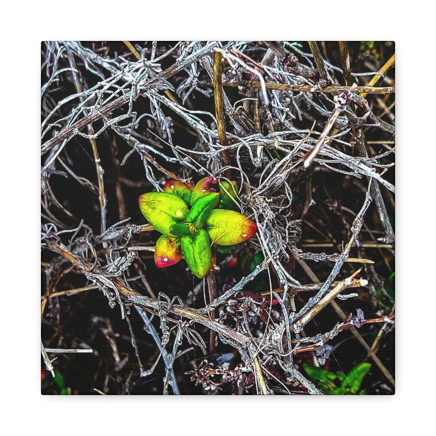 Vibrant Nature Art Canvas, Green Buds Home Decor, Botanical Wall Art, Gift for Plant Lovers, Modern Interior Decor