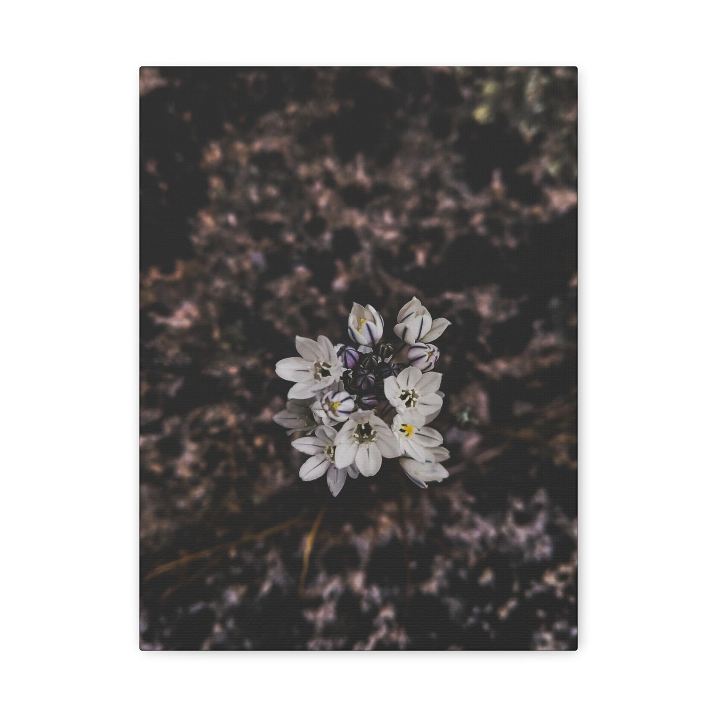 Floral Canvas Print, Wall Art, Boho Home Decor, Perfect Gift for Nature Lovers, Mother's Day, Home Gallery