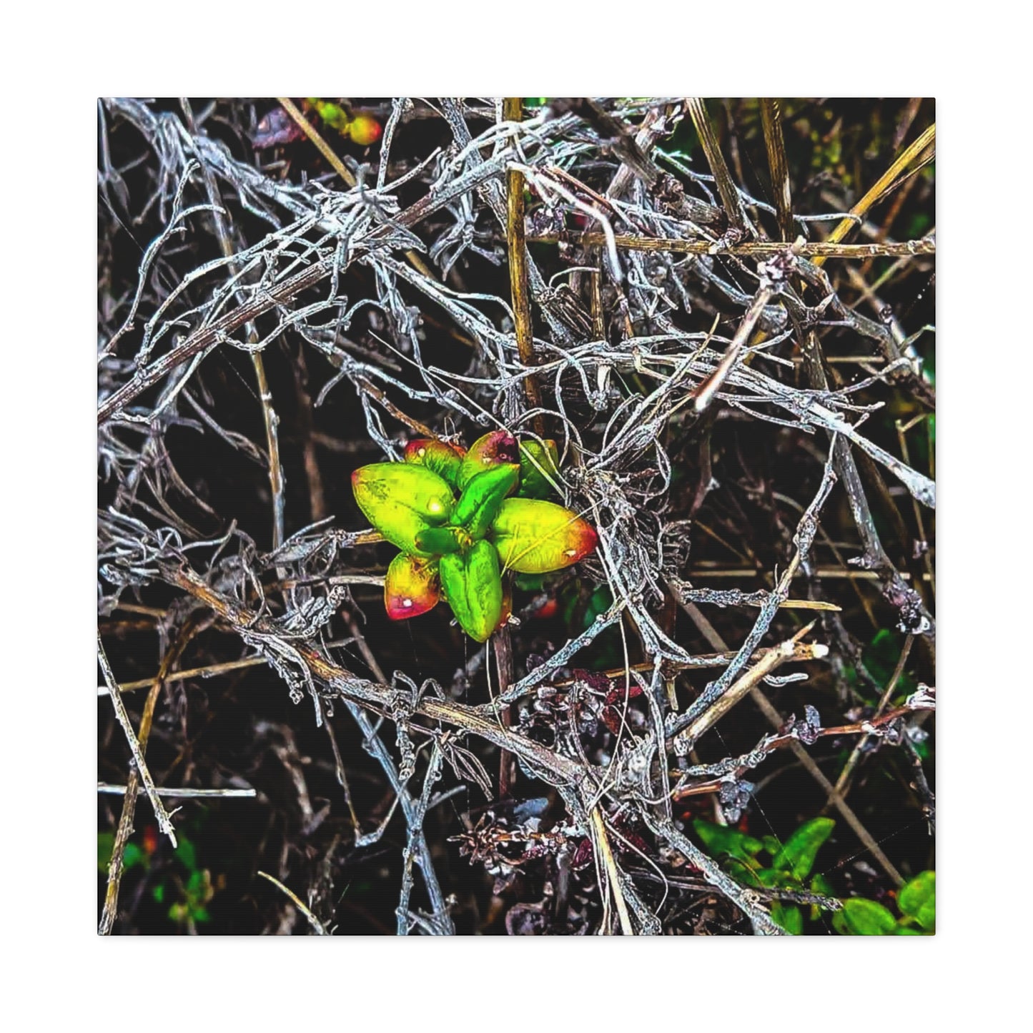Vibrant Nature Art Canvas, Green Buds Home Decor, Botanical Wall Art, Gift for Plant Lovers, Modern Interior Decor