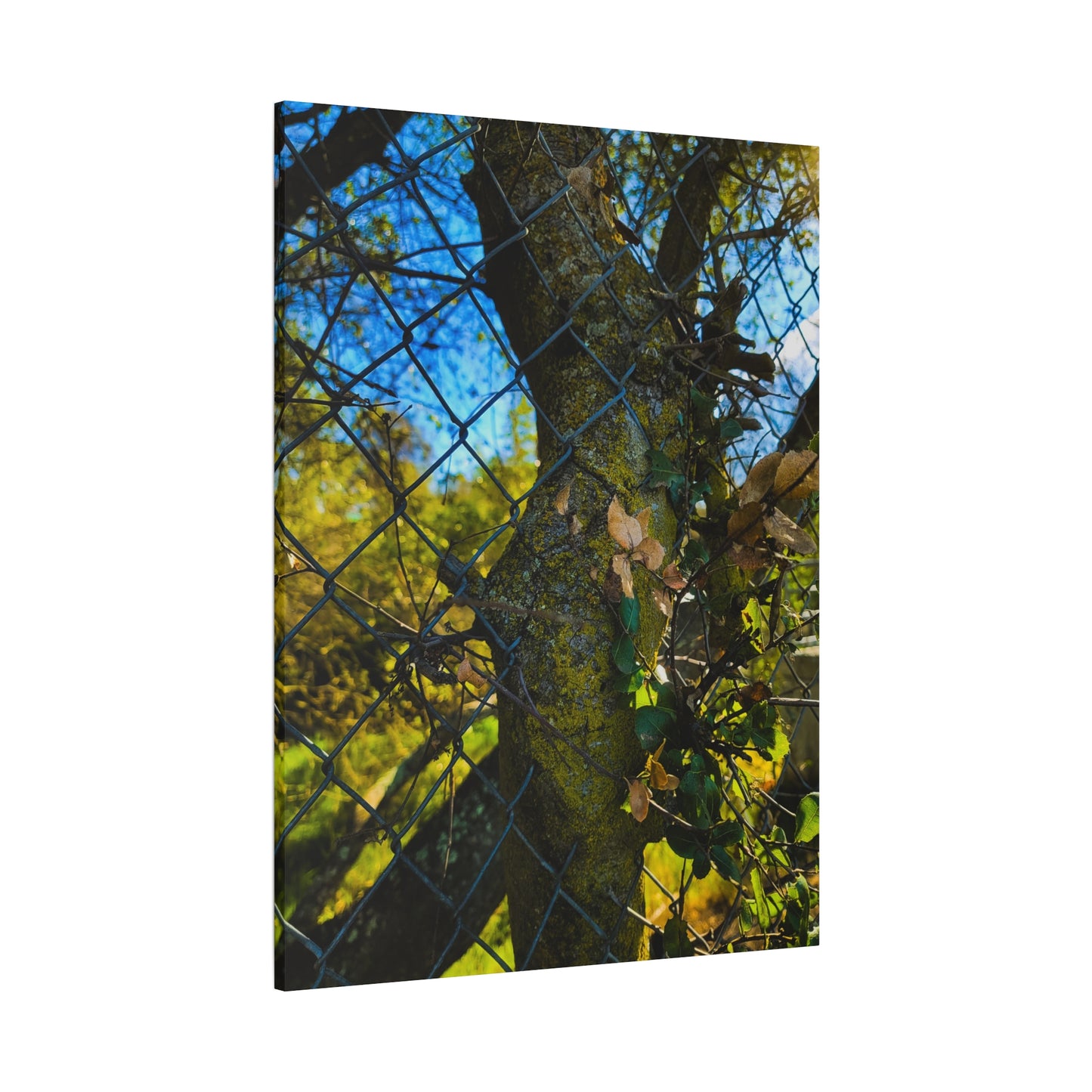 Nature-Inspired Canvas Art, Botanical Wall Decor, Home Aesthetic, Gift for Gardeners, Rustic Art for Living Room, Greenery Home Decor