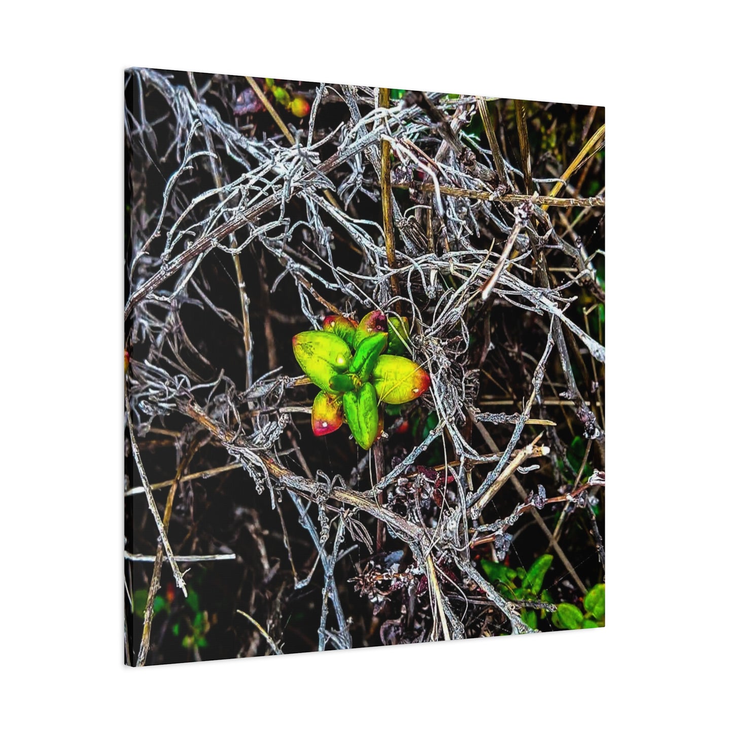 Vibrant Nature Art Canvas, Green Buds Home Decor, Botanical Wall Art, Gift for Plant Lovers, Modern Interior Decor