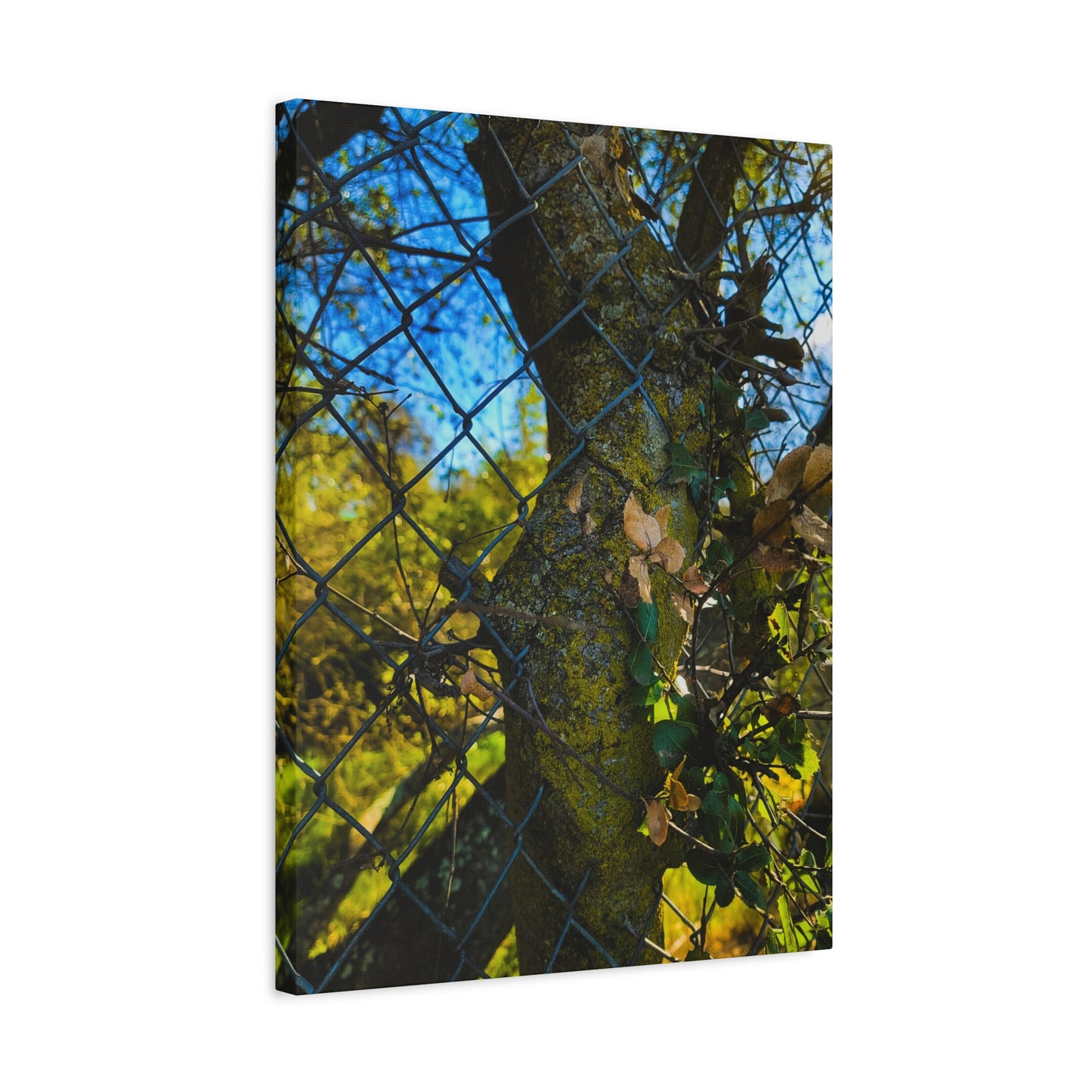 Nature-Inspired Canvas Art, Botanical Wall Decor, Home Aesthetic, Gift for Gardeners, Rustic Art for Living Room, Greenery Home Decor