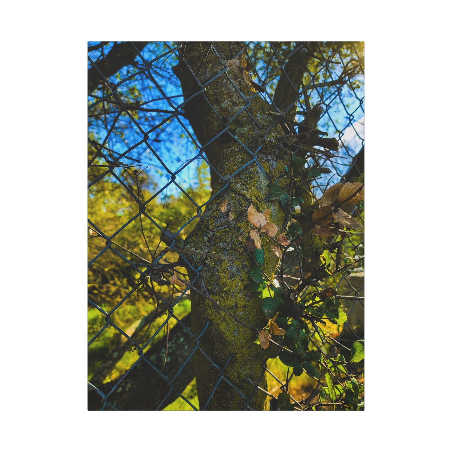 Nature-Inspired Canvas Art, Botanical Wall Decor, Home Aesthetic, Gift for Gardeners, Rustic Art for Living Room, Greenery Home Decor
