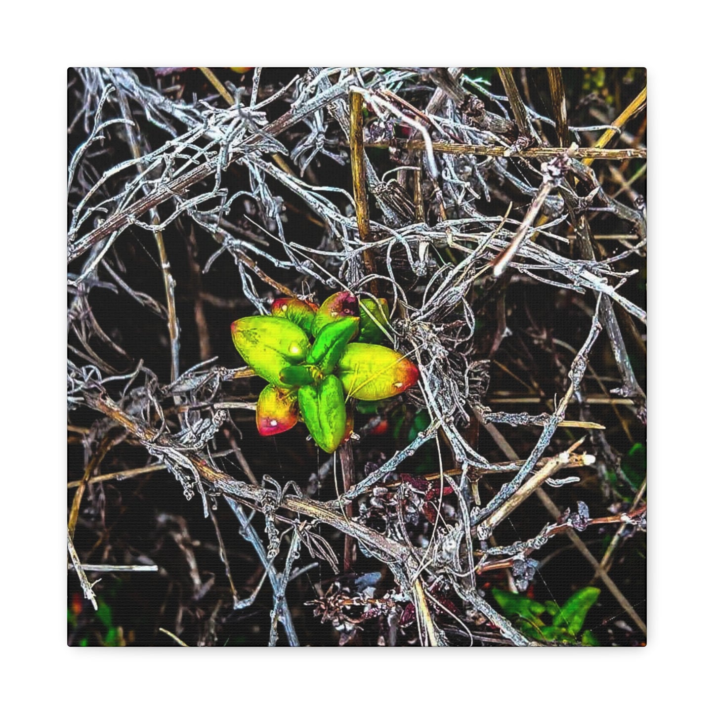 Vibrant Nature Art Canvas, Green Buds Home Decor, Botanical Wall Art, Gift for Plant Lovers, Modern Interior Decor