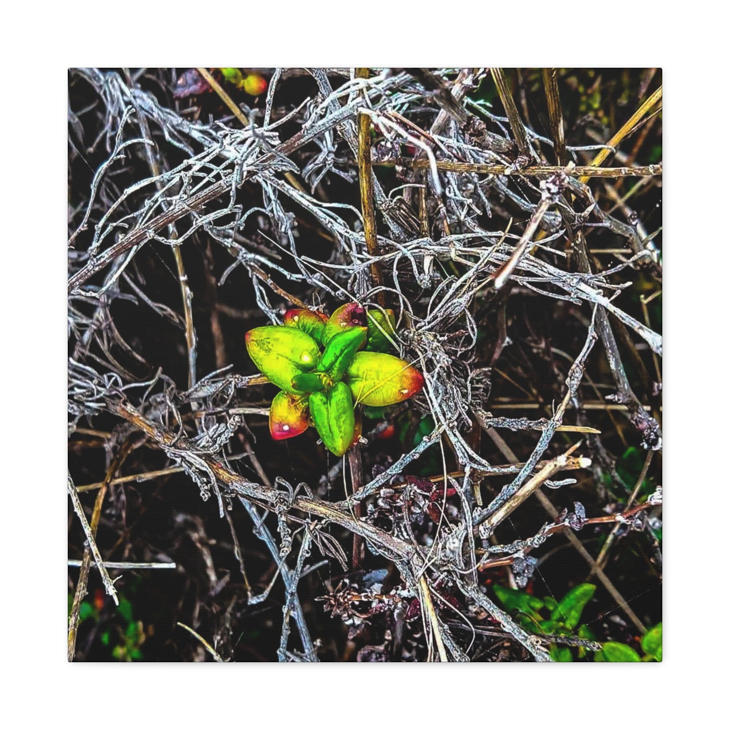 Vibrant Nature Art Canvas, Green Buds Home Decor, Botanical Wall Art, Gift for Plant Lovers, Modern Interior Decor