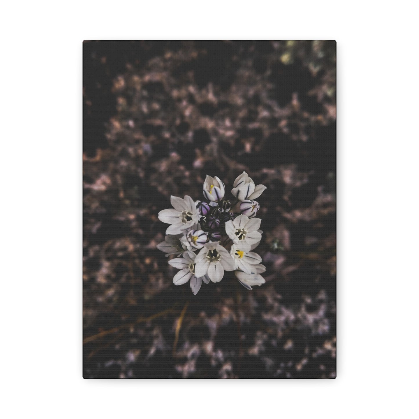 Floral Canvas Print, Wall Art, Boho Home Decor, Perfect Gift for Nature Lovers, Mother's Day, Home Gallery