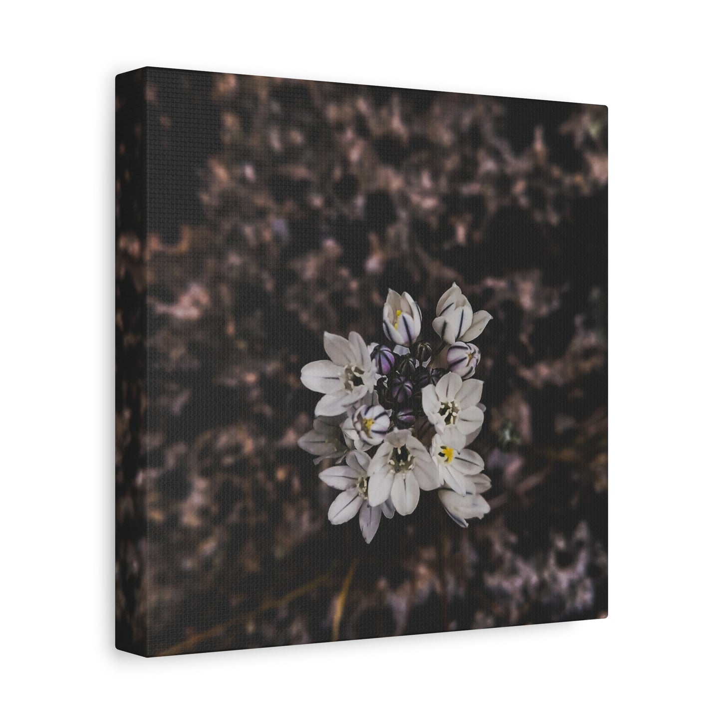 Floral Canvas Print, Wall Art, Boho Home Decor, Perfect Gift for Nature Lovers, Mother's Day, Home Gallery