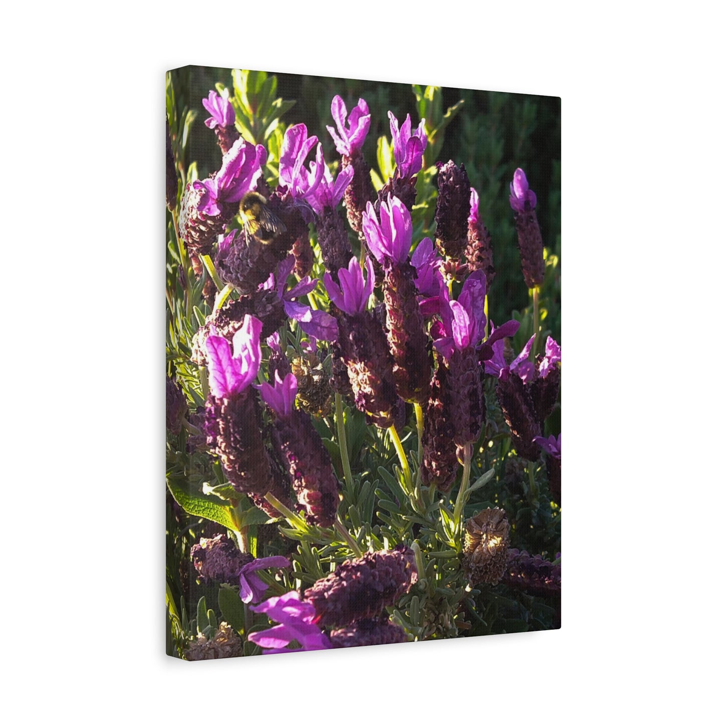 Purple Floral Canvas Wall Art, Botanical Decor, Nature Art, Home Decoration, Gift for Nature Lovers