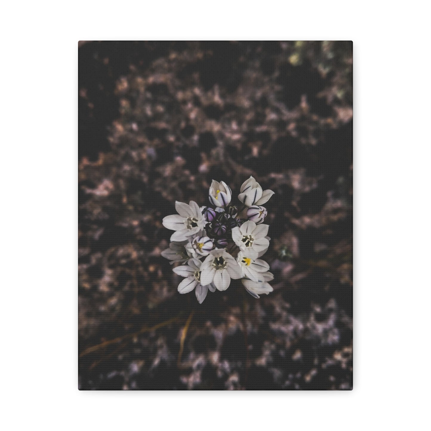 Floral Canvas Print, Wall Art, Boho Home Decor, Perfect Gift for Nature Lovers, Mother's Day, Home Gallery