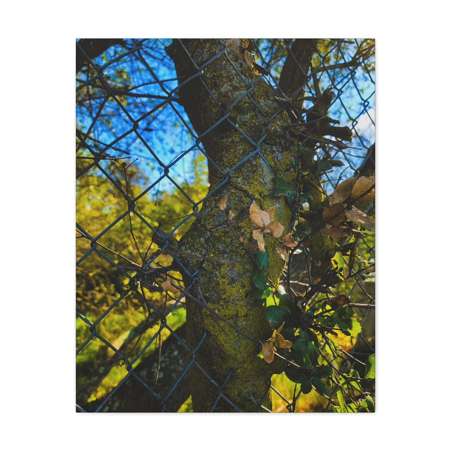 Nature-Inspired Canvas Art, Botanical Wall Decor, Home Aesthetic, Gift for Gardeners, Rustic Art for Living Room, Greenery Home Decor
