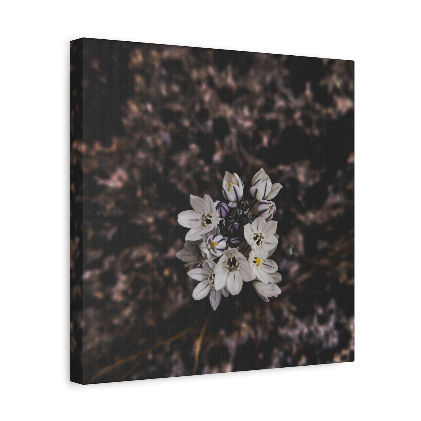 Floral Canvas Print, Wall Art, Boho Home Decor, Perfect Gift for Nature Lovers, Mother's Day, Home Gallery