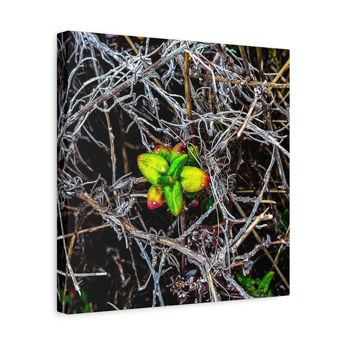Vibrant Nature Art Canvas, Green Buds Home Decor, Botanical Wall Art, Gift for Plant Lovers, Modern Interior Decor