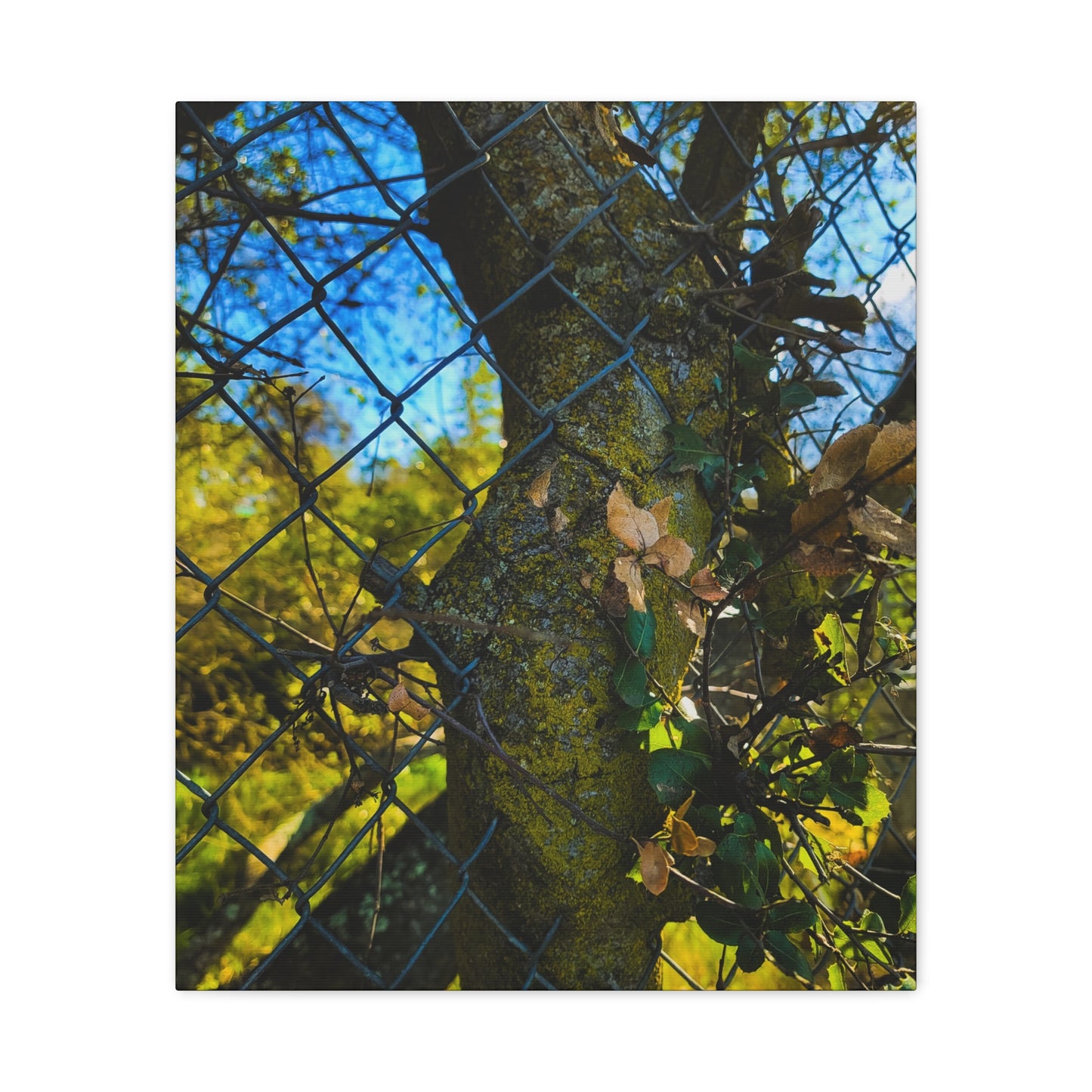 Nature-Inspired Canvas Art, Botanical Wall Decor, Home Aesthetic, Gift for Gardeners, Rustic Art for Living Room, Greenery Home Decor