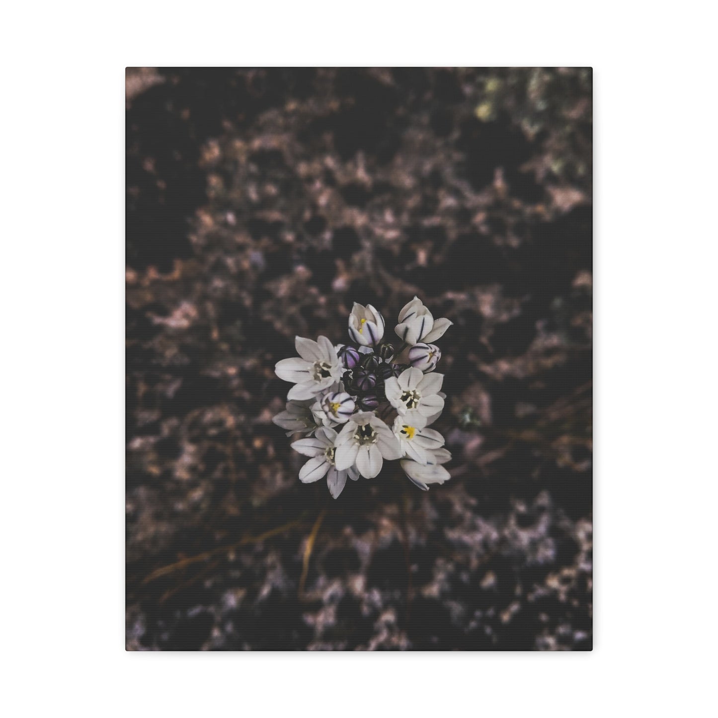Floral Canvas Print, Wall Art, Boho Home Decor, Perfect Gift for Nature Lovers, Mother's Day, Home Gallery