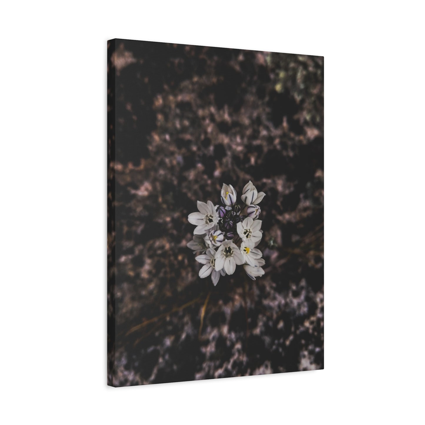 Floral Canvas Print, Wall Art, Boho Home Decor, Perfect Gift for Nature Lovers, Mother's Day, Home Gallery