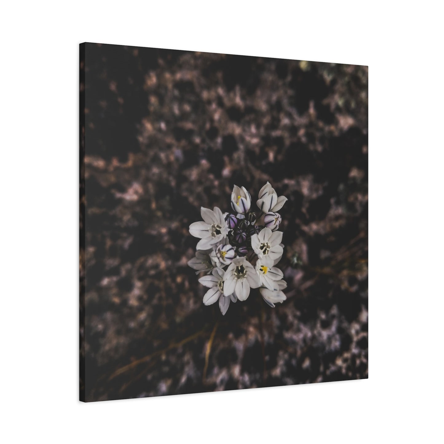 Floral Canvas Print, Wall Art, Boho Home Decor, Perfect Gift for Nature Lovers, Mother's Day, Home Gallery