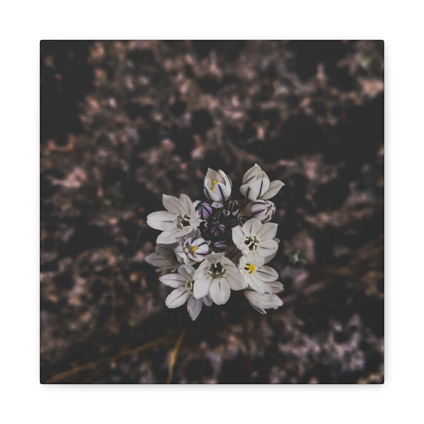 Floral Canvas Print, Wall Art, Boho Home Decor, Perfect Gift for Nature Lovers, Mother's Day, Home Gallery