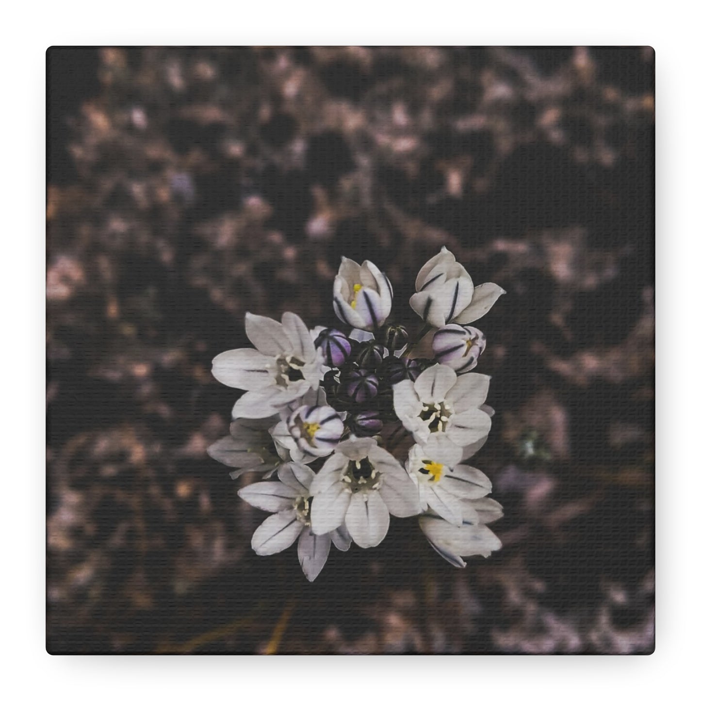 Floral Canvas Print, Wall Art, Boho Home Decor, Perfect Gift for Nature Lovers, Mother's Day, Home Gallery
