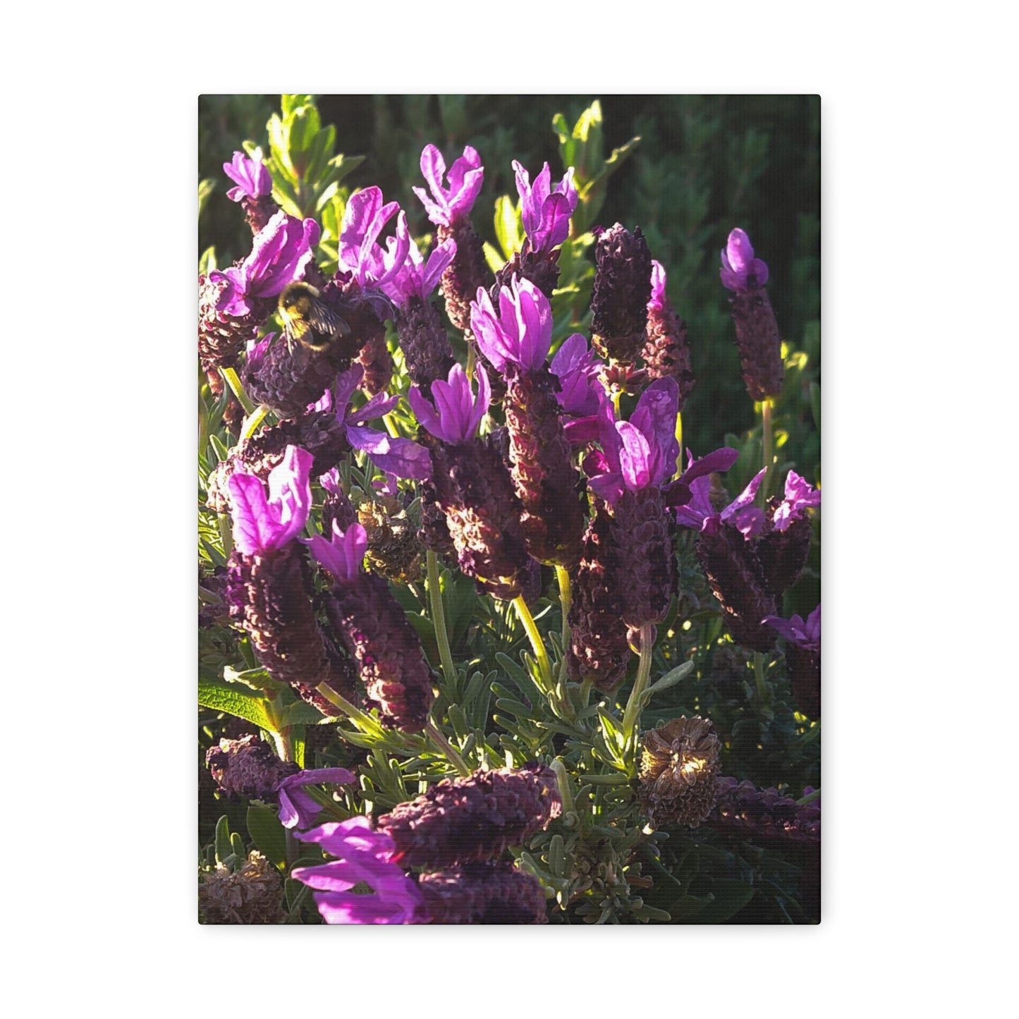 Purple Floral Canvas Wall Art, Botanical Decor, Nature Art, Home Decoration, Gift for Nature Lovers