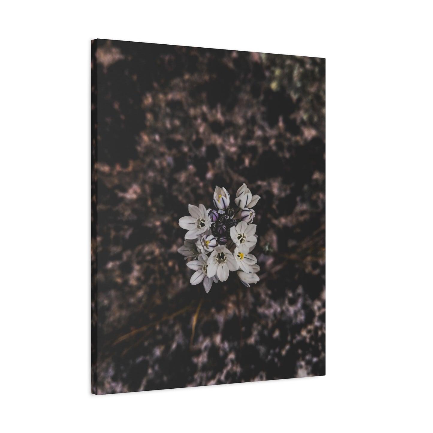 Floral Canvas Print, Wall Art, Boho Home Decor, Perfect Gift for Nature Lovers, Mother's Day, Home Gallery