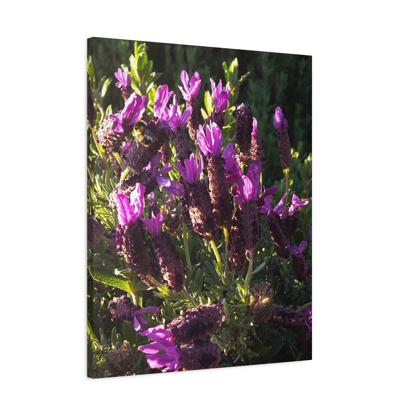 Purple Floral Canvas Wall Art, Botanical Decor, Nature Art, Home Decoration, Gift for Nature Lovers