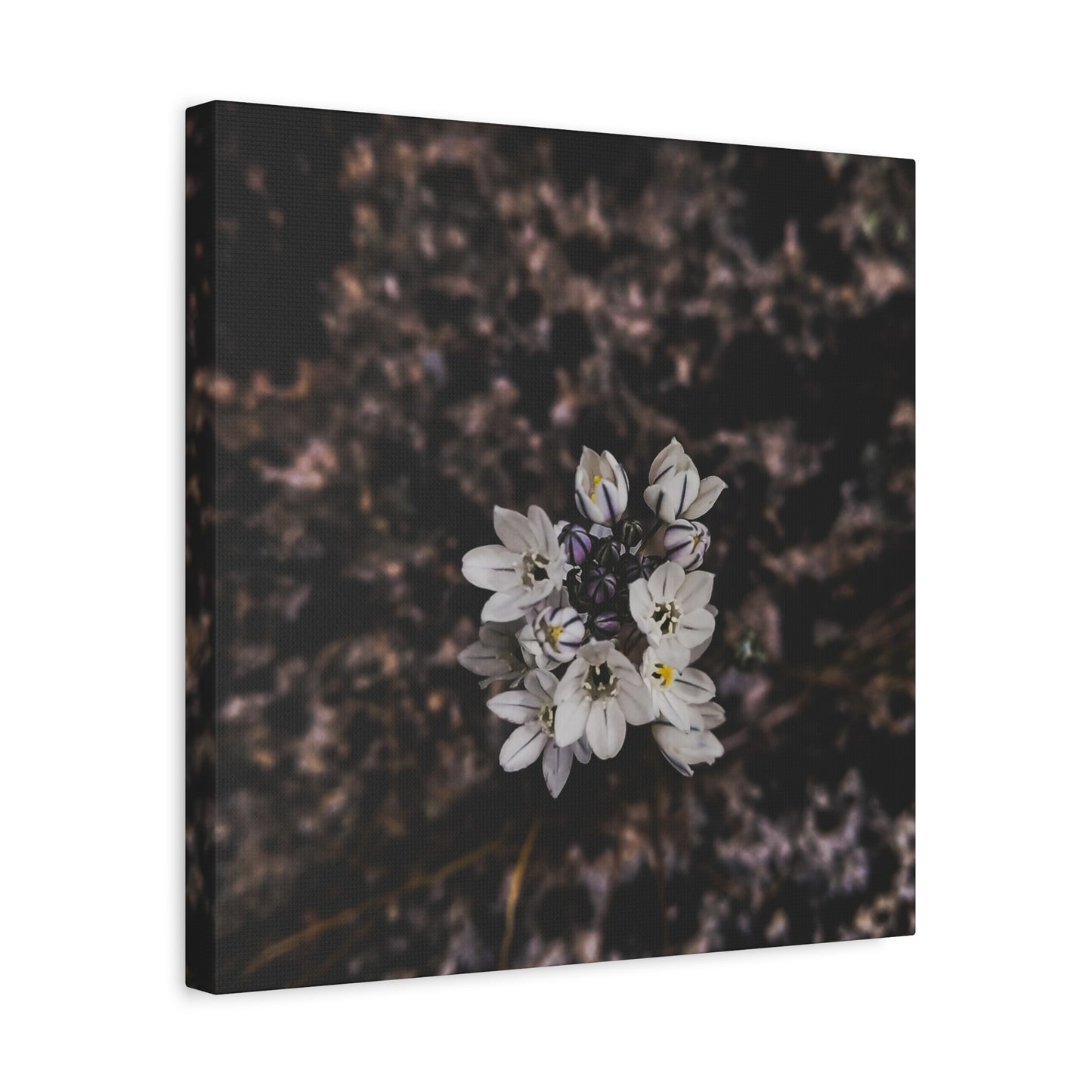 Floral Canvas Print, Wall Art, Boho Home Decor, Perfect Gift for Nature Lovers, Mother's Day, Home Gallery