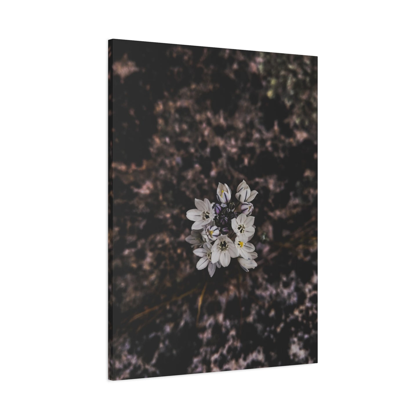Floral Canvas Print, Wall Art, Boho Home Decor, Perfect Gift for Nature Lovers, Mother's Day, Home Gallery