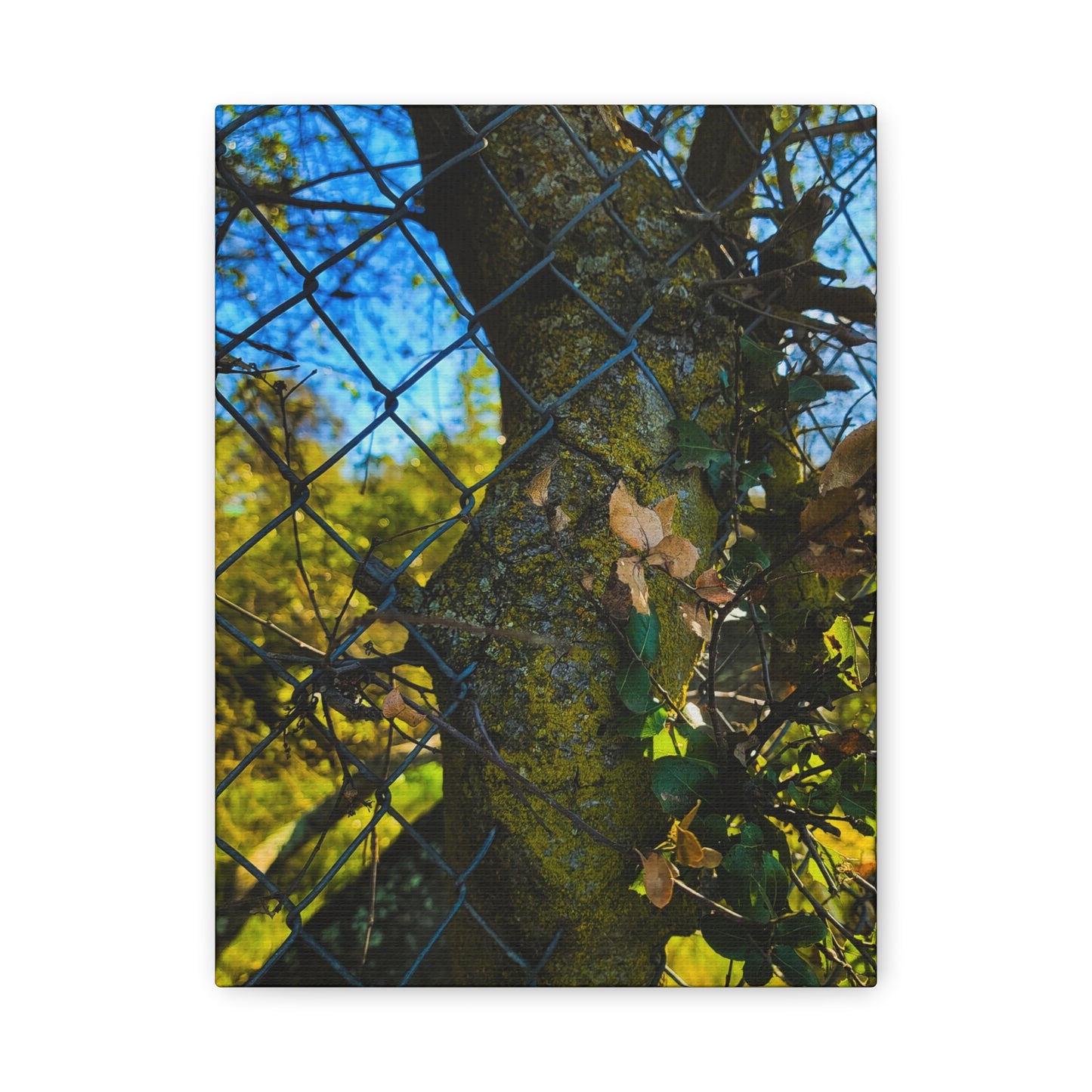 Nature-Inspired Canvas Art, Botanical Wall Decor, Home Aesthetic, Gift for Gardeners, Rustic Art for Living Room, Greenery Home Decor