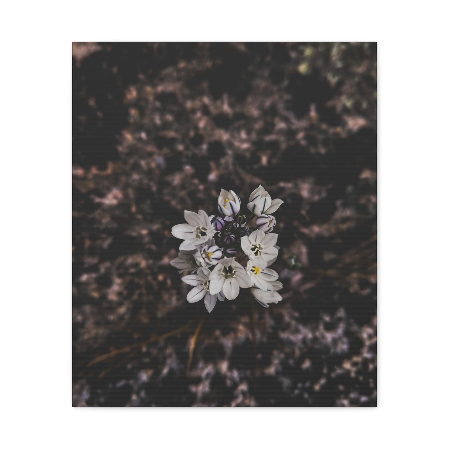 Floral Canvas Print, Wall Art, Boho Home Decor, Perfect Gift for Nature Lovers, Mother's Day, Home Gallery