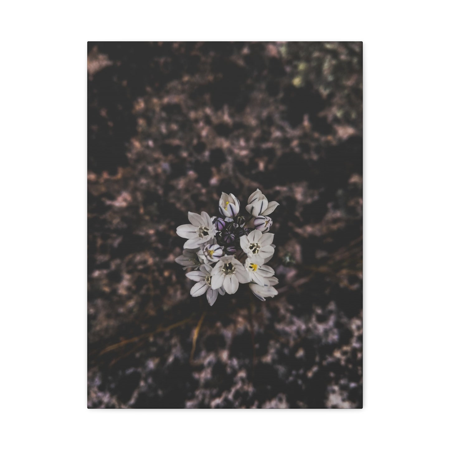 Floral Canvas Print, Wall Art, Boho Home Decor, Perfect Gift for Nature Lovers, Mother's Day, Home Gallery