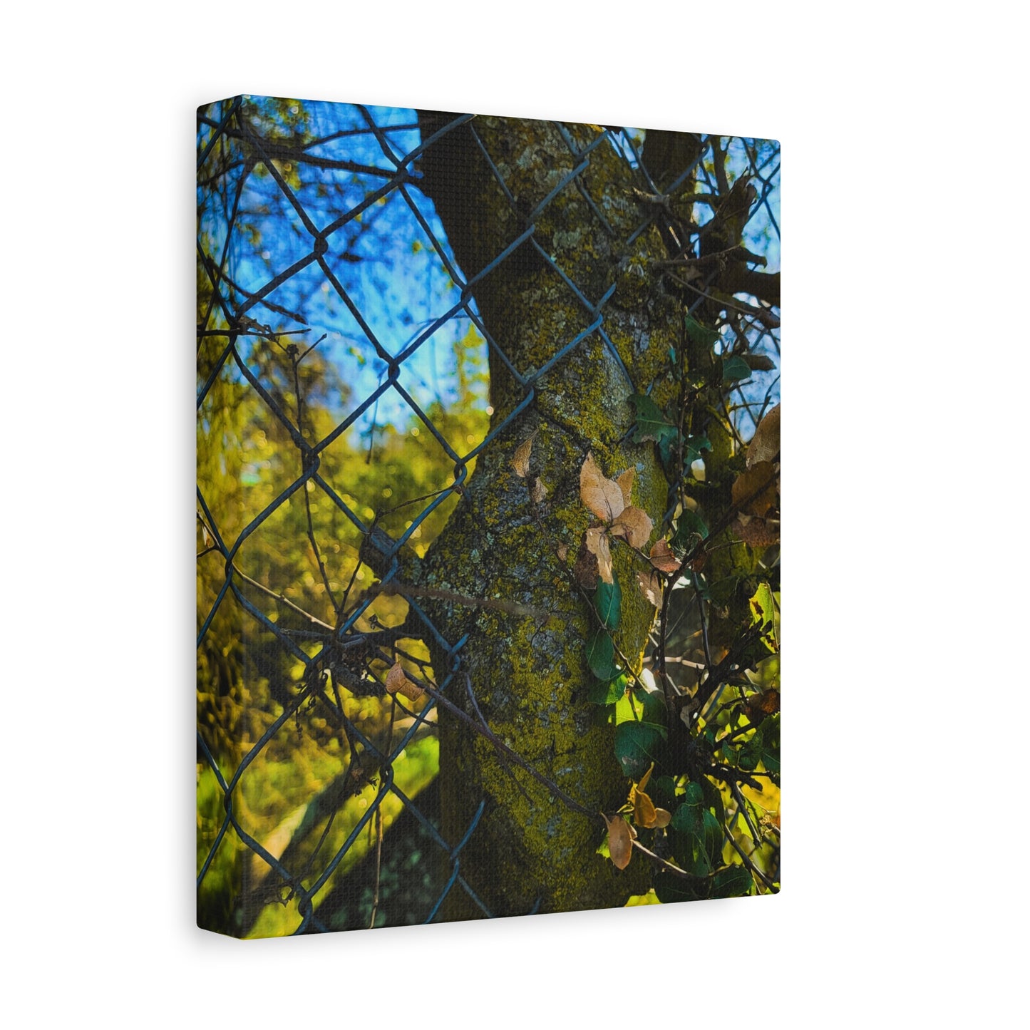 Nature-Inspired Canvas Art, Botanical Wall Decor, Home Aesthetic, Gift for Gardeners, Rustic Art for Living Room, Greenery Home Decor