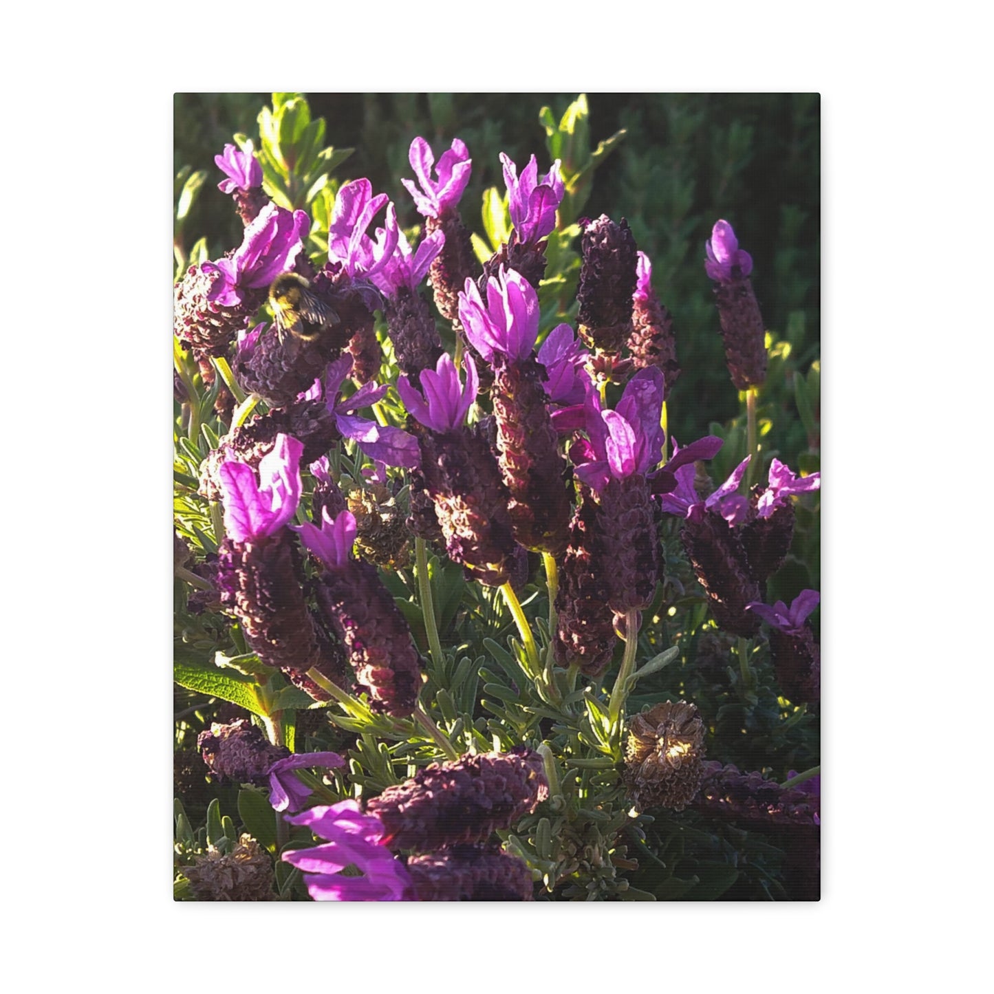 Purple Floral Canvas Wall Art, Botanical Decor, Nature Art, Home Decoration, Gift for Nature Lovers
