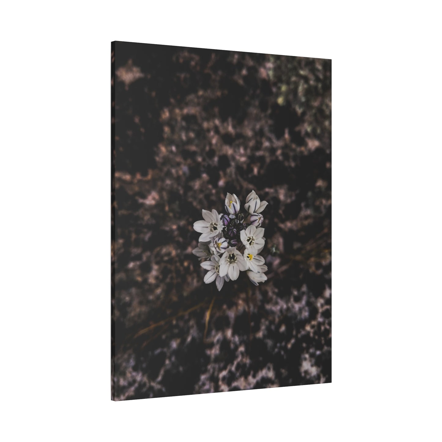 Floral Canvas Print, Wall Art, Boho Home Decor, Perfect Gift for Nature Lovers, Mother's Day, Home Gallery