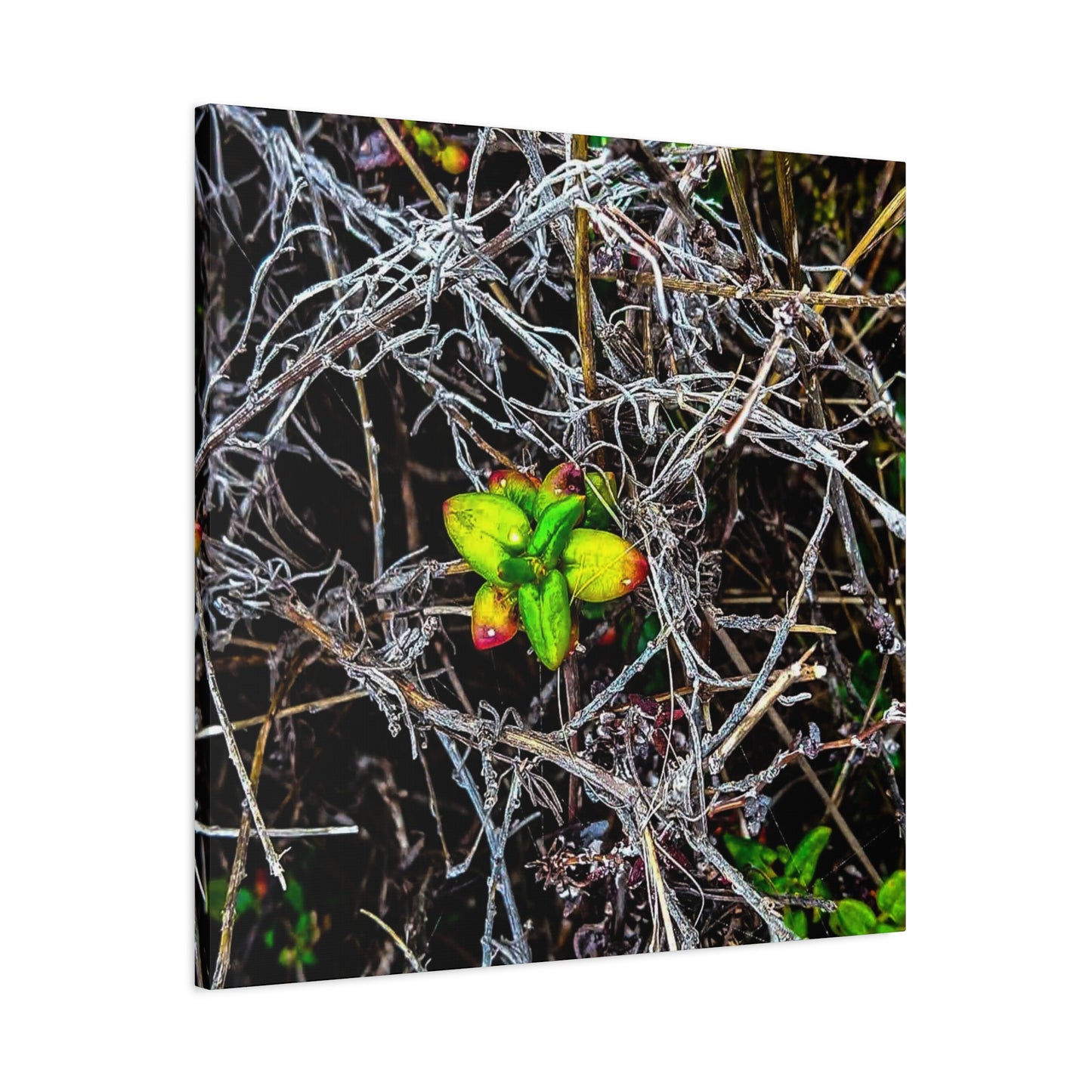 Vibrant Nature Art Canvas, Green Buds Home Decor, Botanical Wall Art, Gift for Plant Lovers, Modern Interior Decor