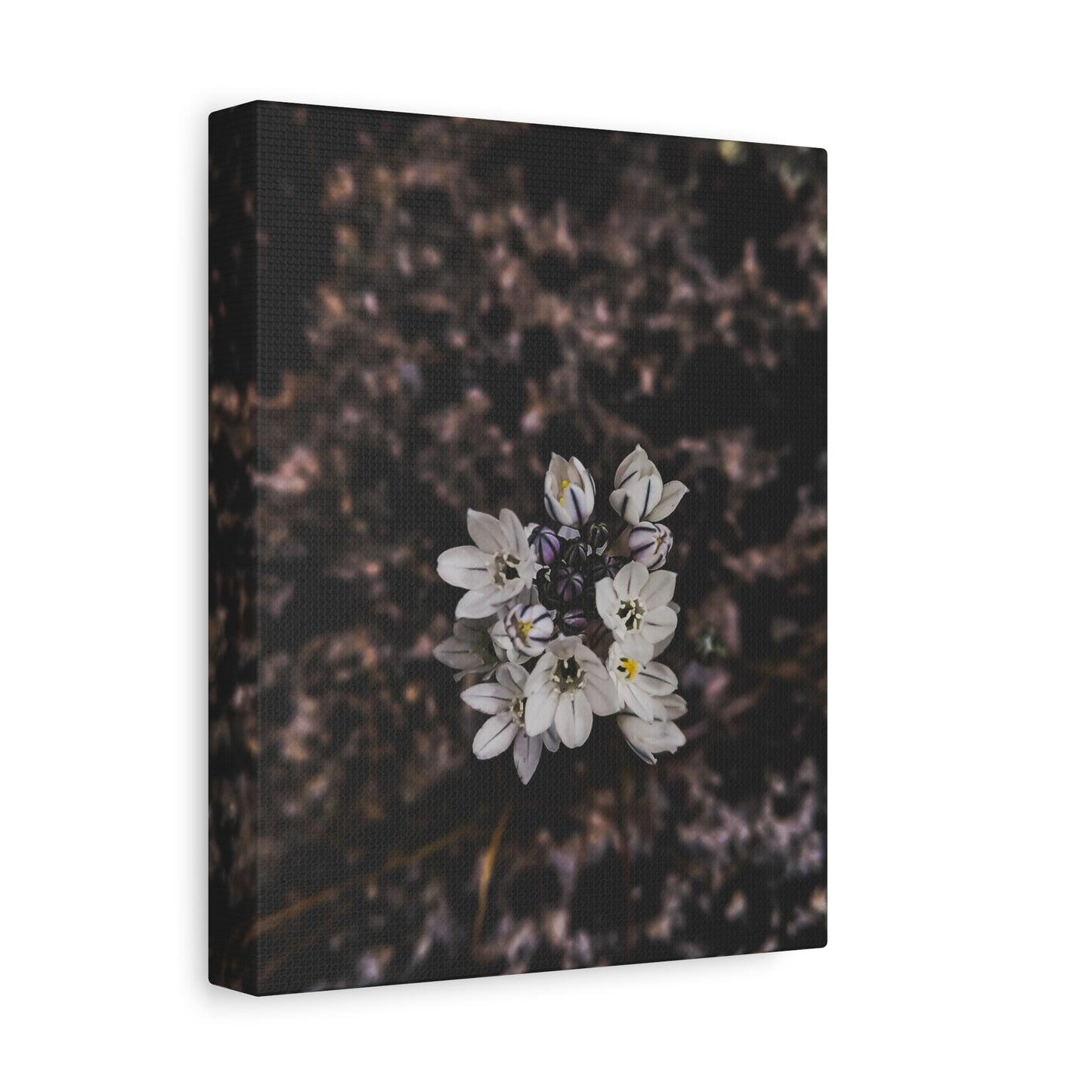 Floral Canvas Print, Wall Art, Boho Home Decor, Perfect Gift for Nature Lovers, Mother's Day, Home Gallery