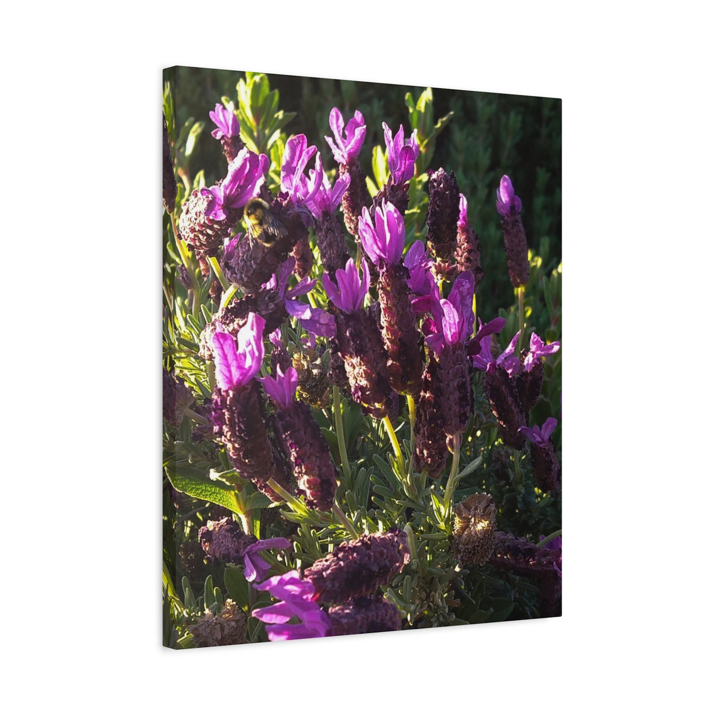 Purple Floral Canvas Wall Art, Botanical Decor, Nature Art, Home Decoration, Gift for Nature Lovers