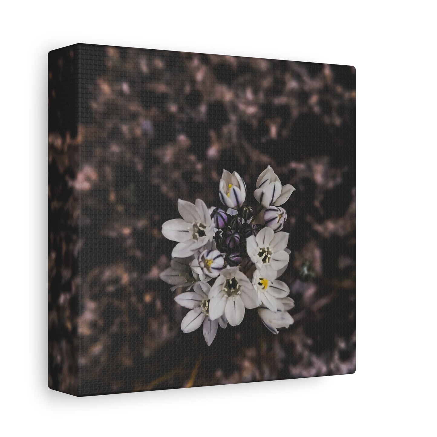 Floral Canvas Print, Wall Art, Boho Home Decor, Perfect Gift for Nature Lovers, Mother's Day, Home Gallery