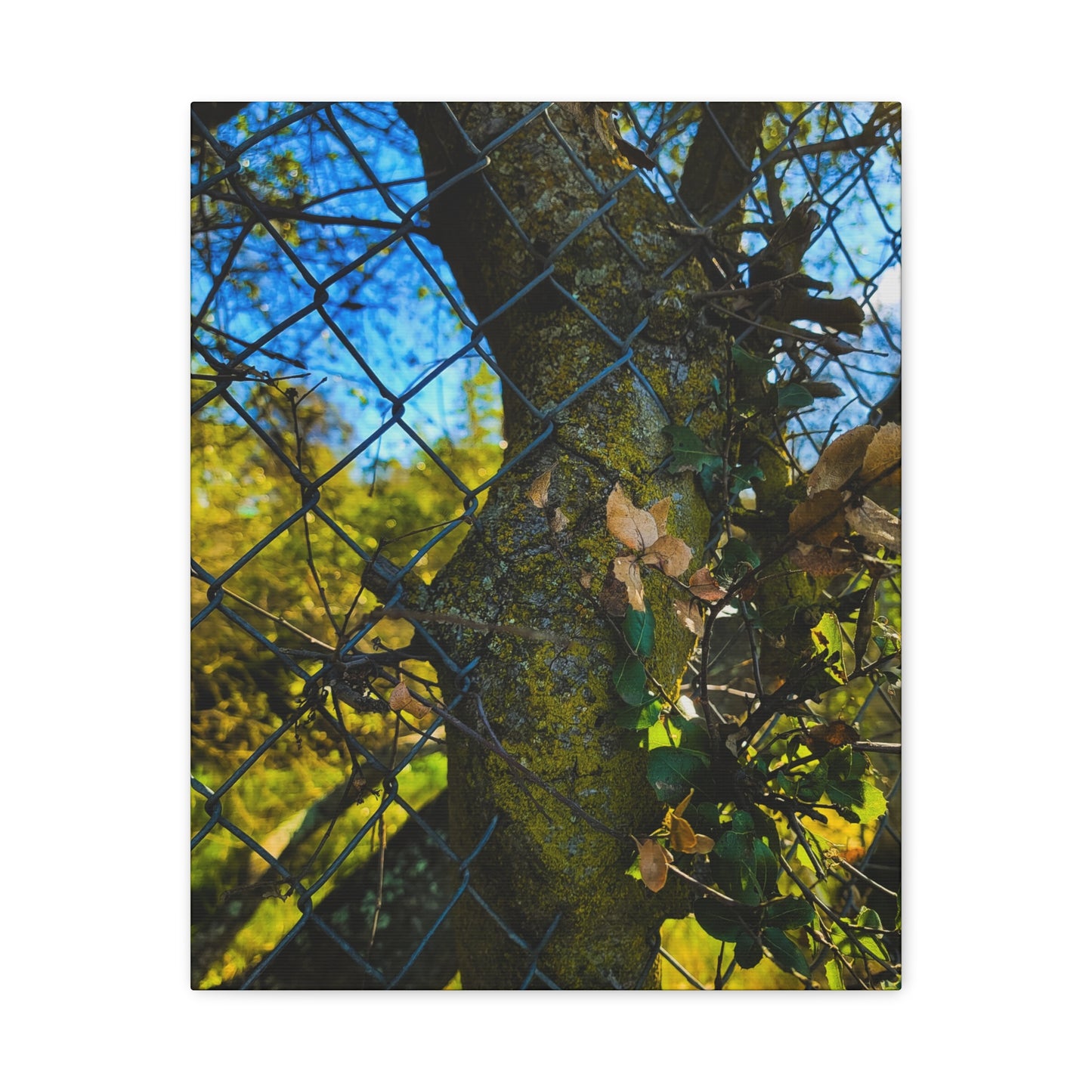 Nature-Inspired Canvas Art, Botanical Wall Decor, Home Aesthetic, Gift for Gardeners, Rustic Art for Living Room, Greenery Home Decor