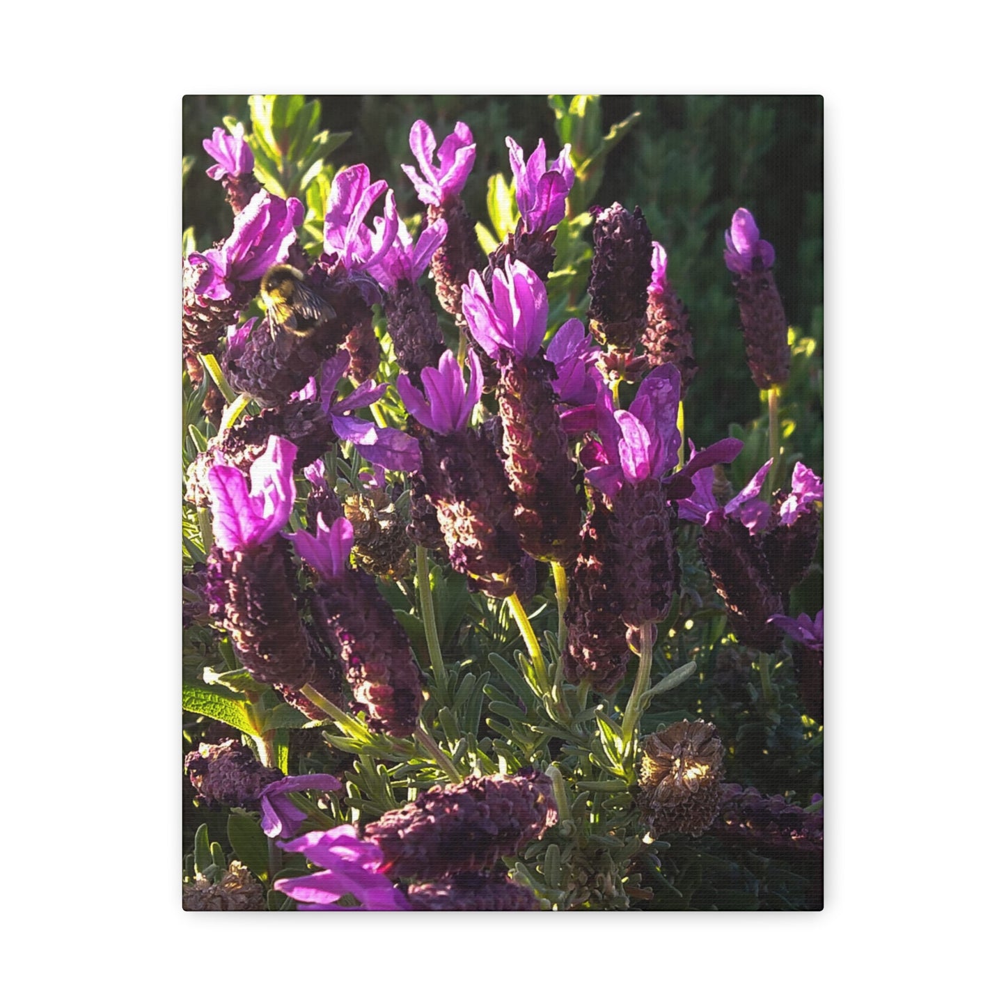 Purple Floral Canvas Wall Art, Botanical Decor, Nature Art, Home Decoration, Gift for Nature Lovers