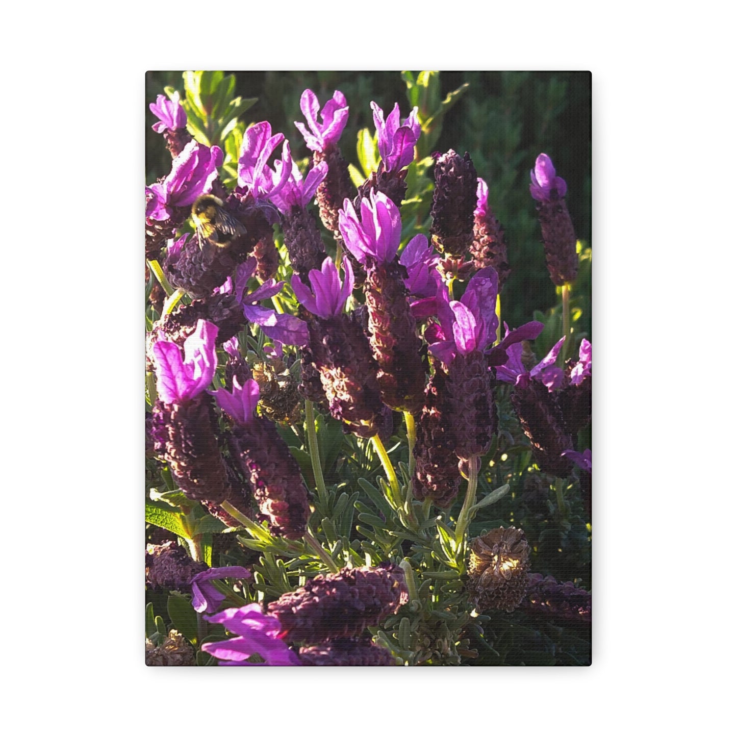 Purple Floral Canvas Wall Art, Botanical Decor, Nature Art, Home Decoration, Gift for Nature Lovers