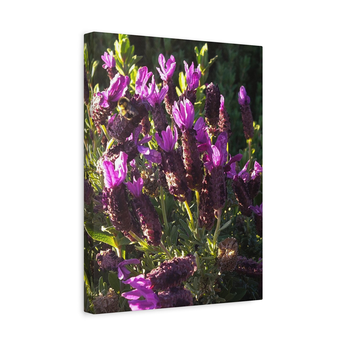 Purple Floral Canvas Wall Art, Botanical Decor, Nature Art, Home Decoration, Gift for Nature Lovers