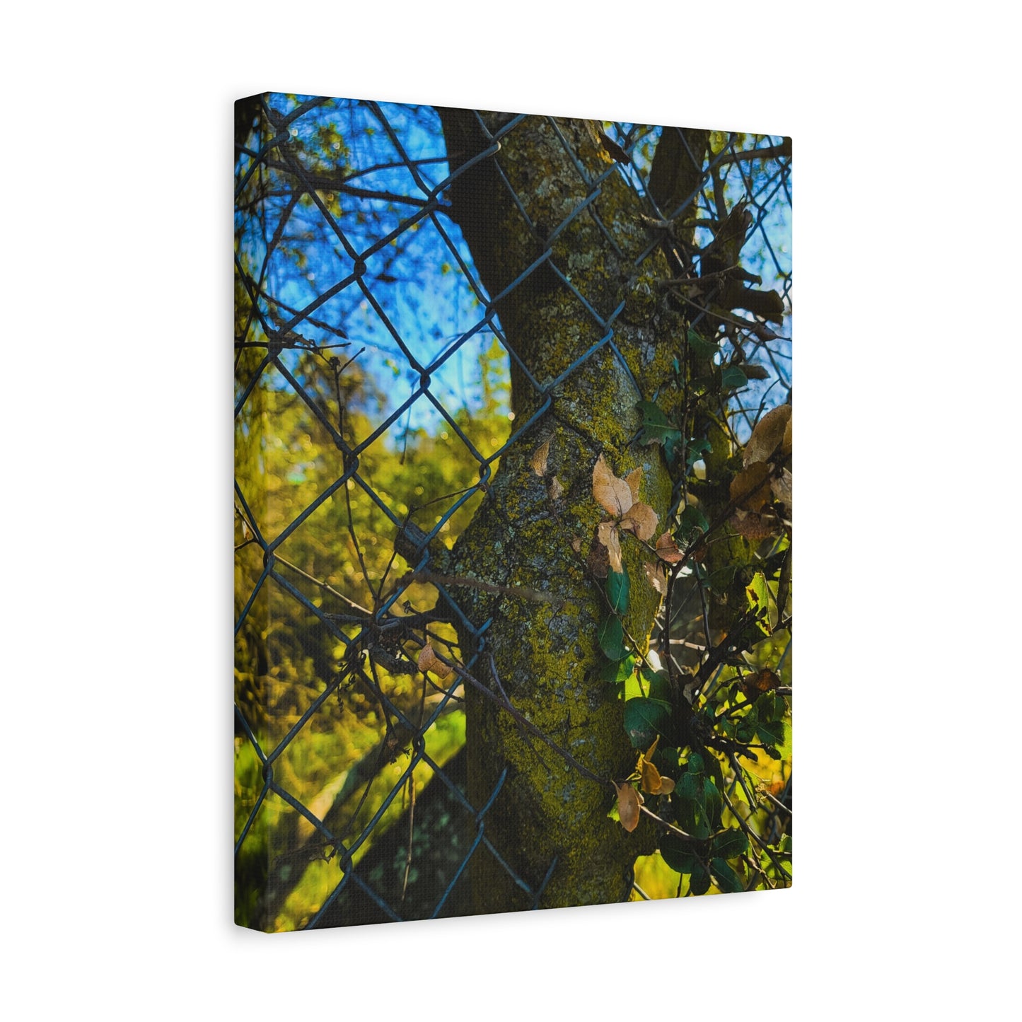 Nature-Inspired Canvas Art, Botanical Wall Decor, Home Aesthetic, Gift for Gardeners, Rustic Art for Living Room, Greenery Home Decor