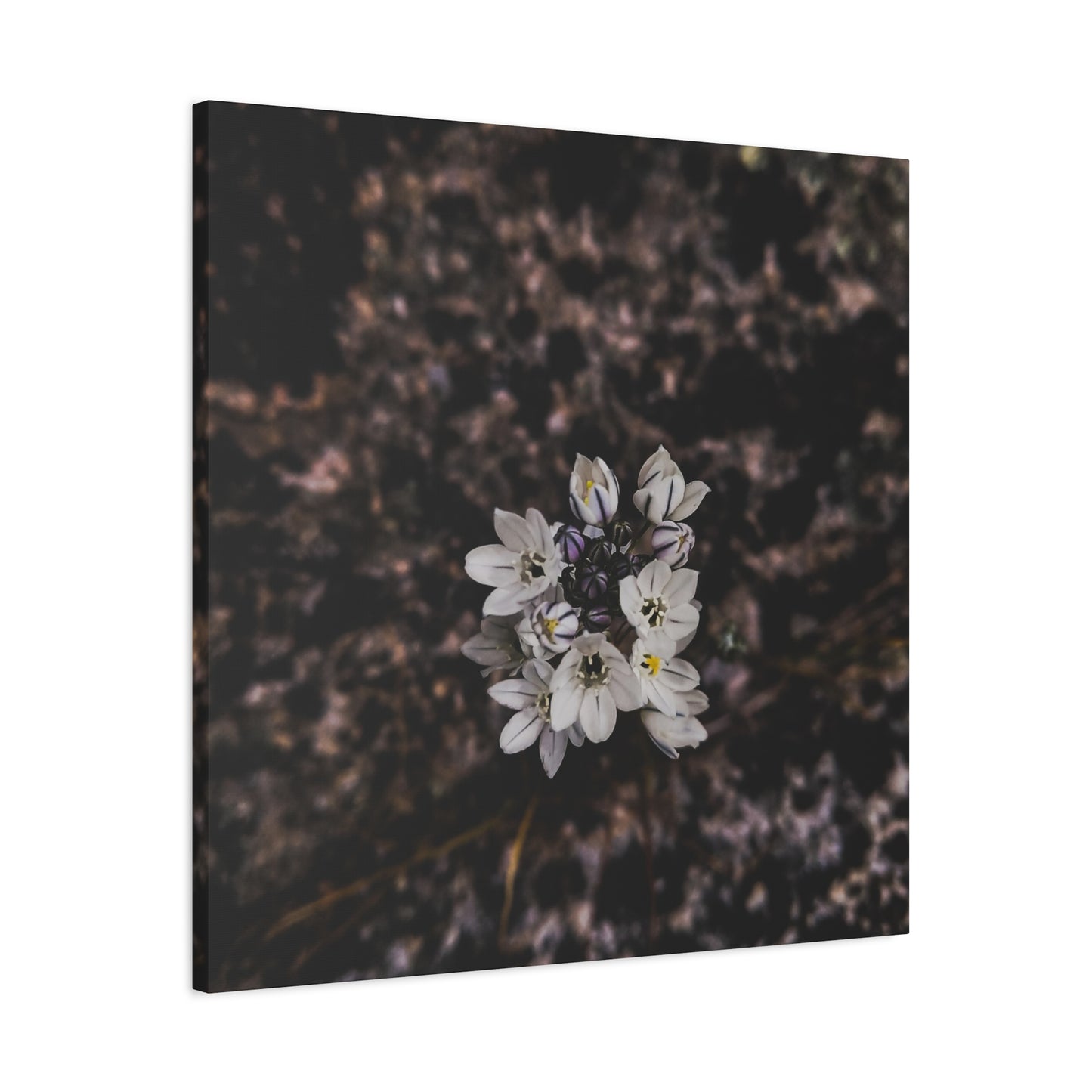 Floral Canvas Print, Wall Art, Boho Home Decor, Perfect Gift for Nature Lovers, Mother's Day, Home Gallery