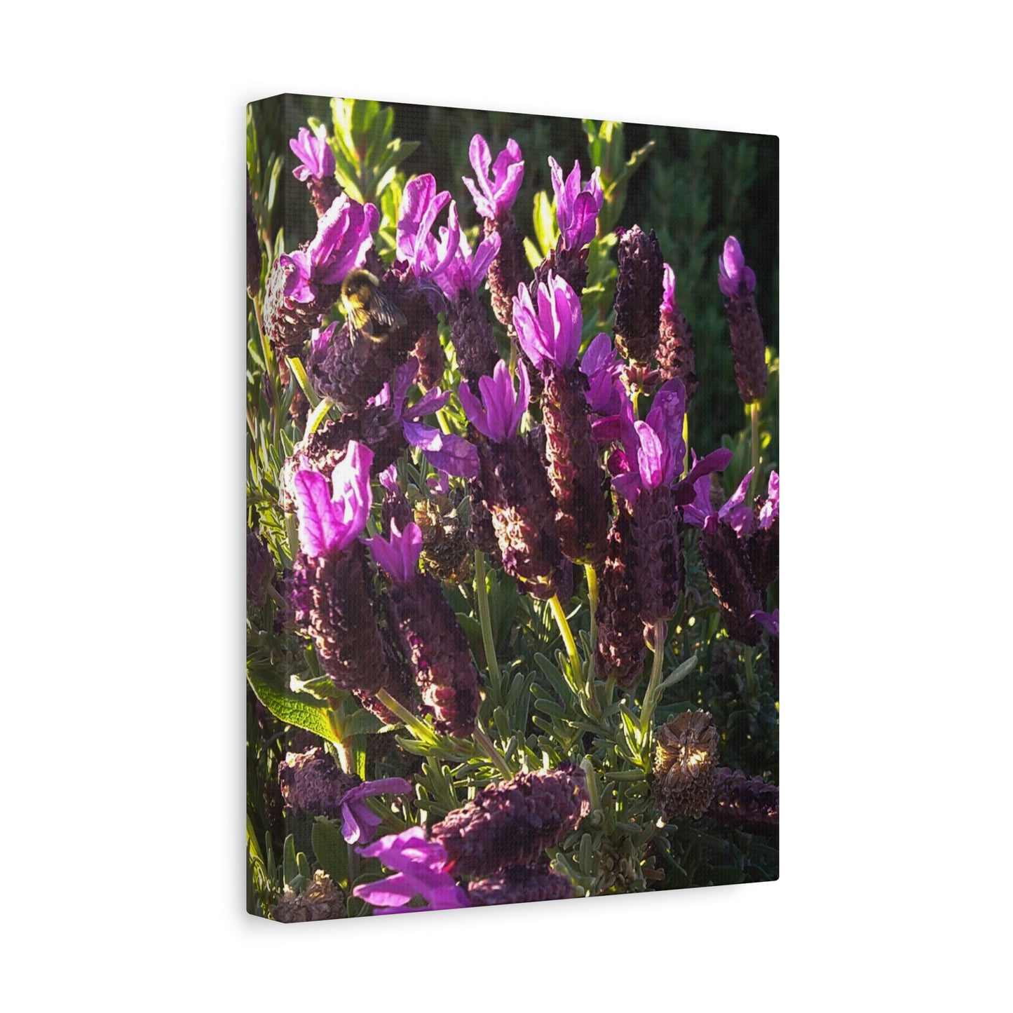 Purple Floral Canvas Wall Art, Botanical Decor, Nature Art, Home Decoration, Gift for Nature Lovers