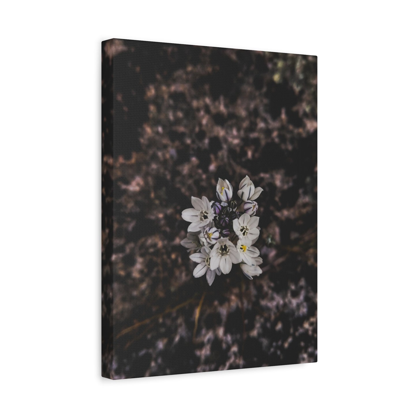 Floral Canvas Print, Wall Art, Boho Home Decor, Perfect Gift for Nature Lovers, Mother's Day, Home Gallery