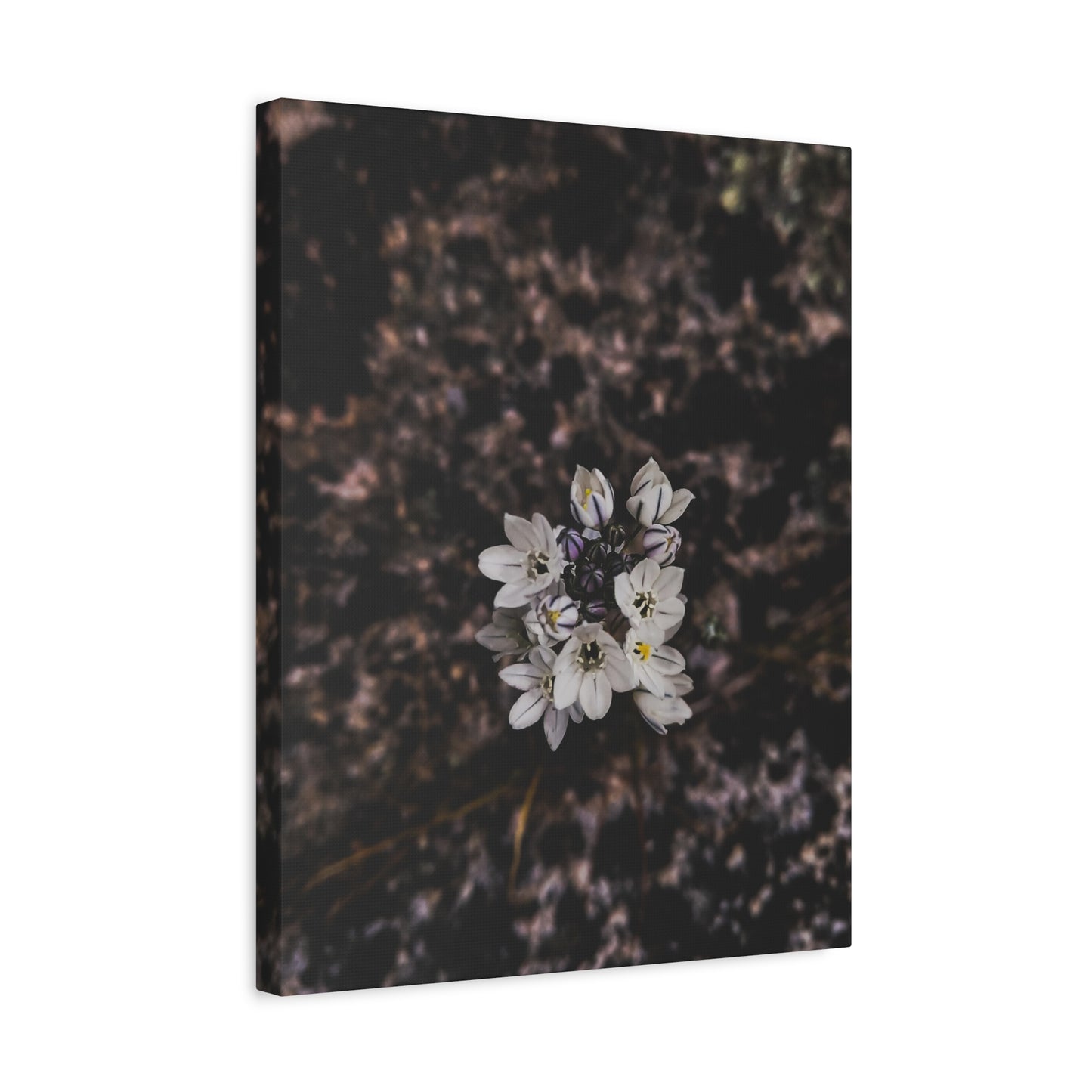 Floral Canvas Print, Wall Art, Boho Home Decor, Perfect Gift for Nature Lovers, Mother's Day, Home Gallery