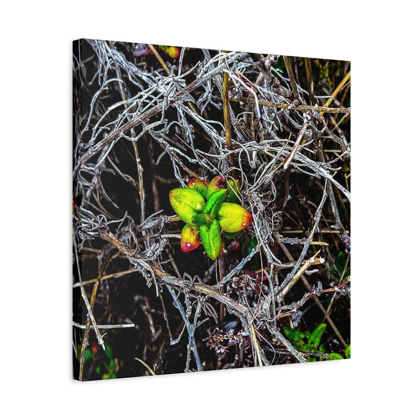 Vibrant Nature Art Canvas, Green Buds Home Decor, Botanical Wall Art, Gift for Plant Lovers, Modern Interior Decor