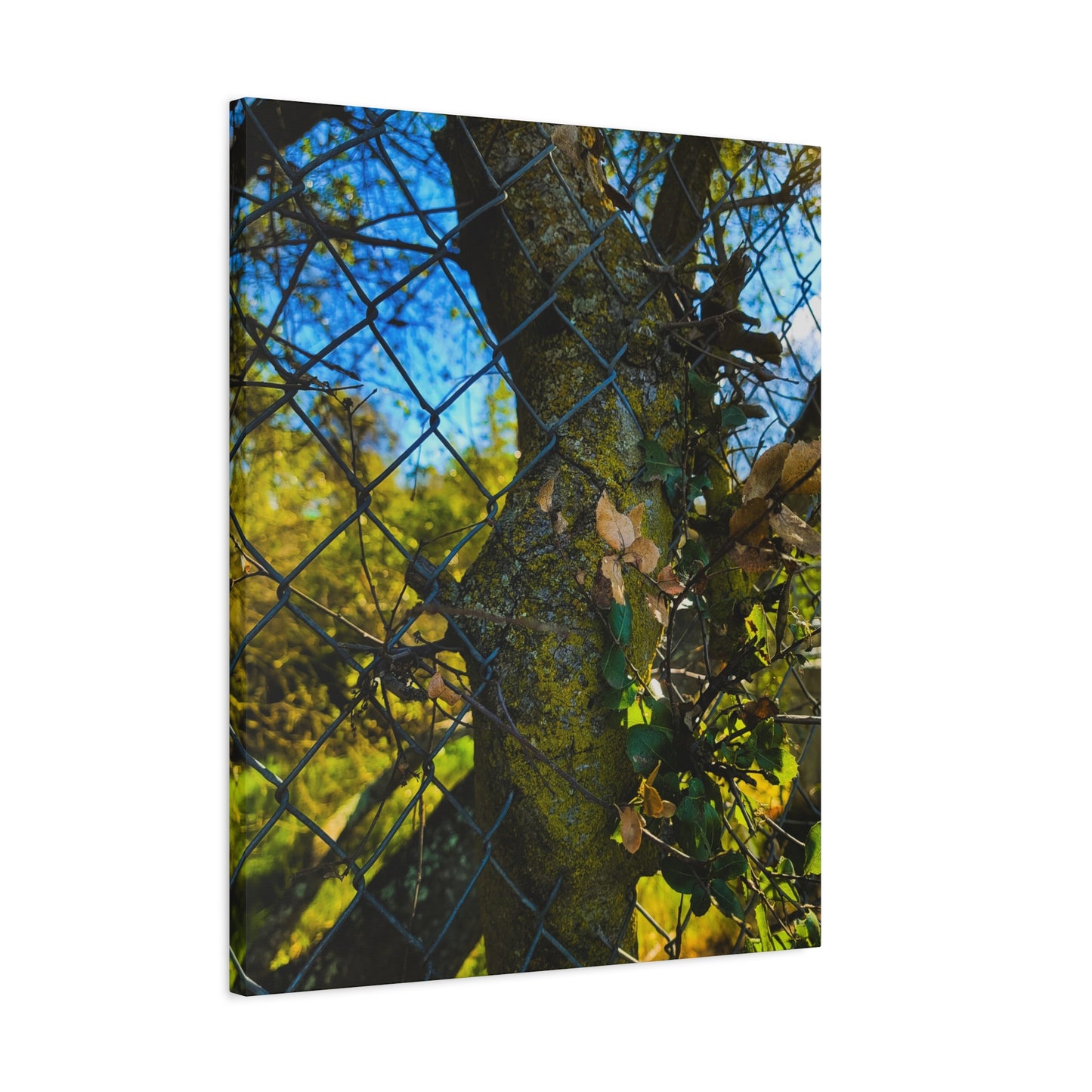 Nature-Inspired Canvas Art, Botanical Wall Decor, Home Aesthetic, Gift for Gardeners, Rustic Art for Living Room, Greenery Home Decor