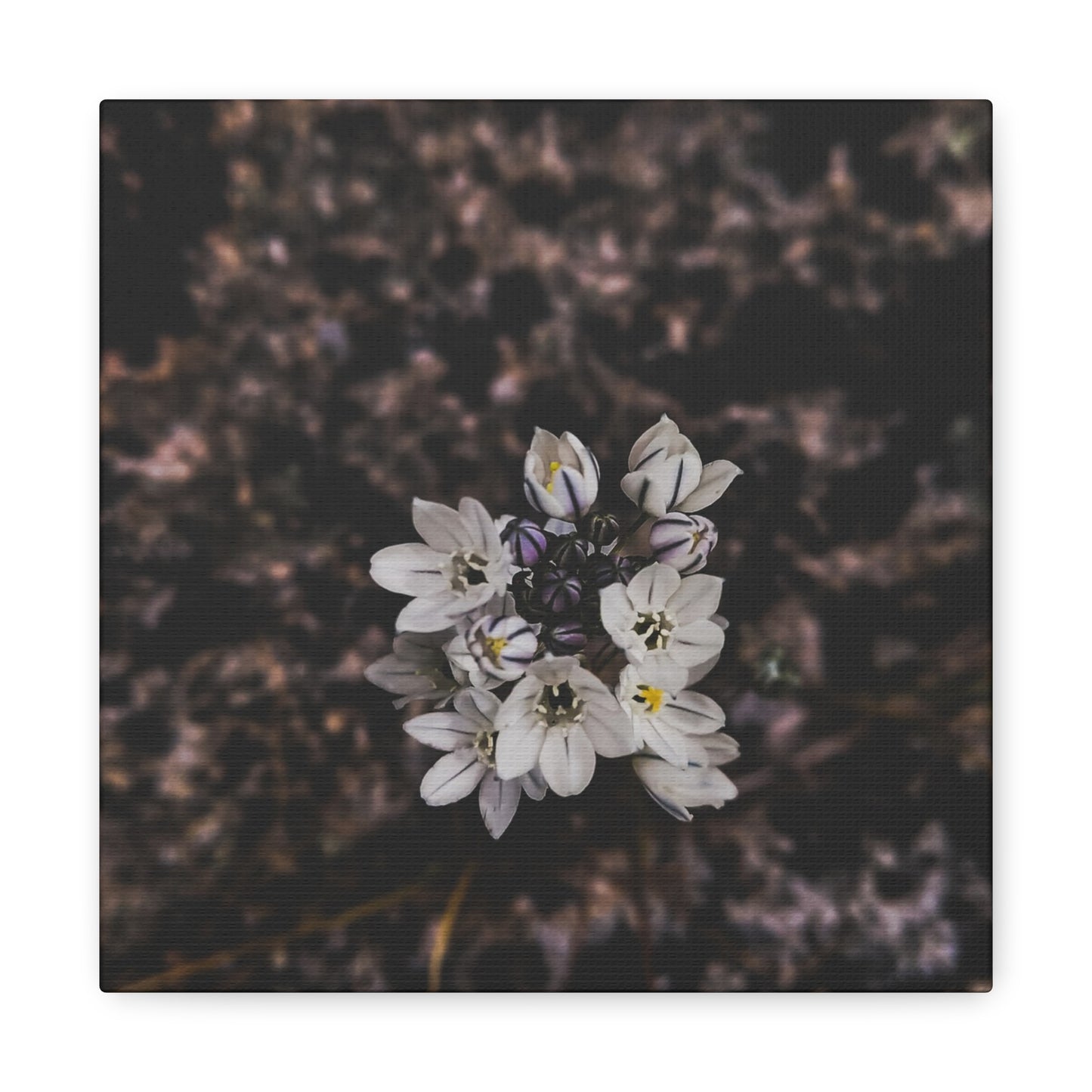 Floral Canvas Print, Wall Art, Boho Home Decor, Perfect Gift for Nature Lovers, Mother's Day, Home Gallery