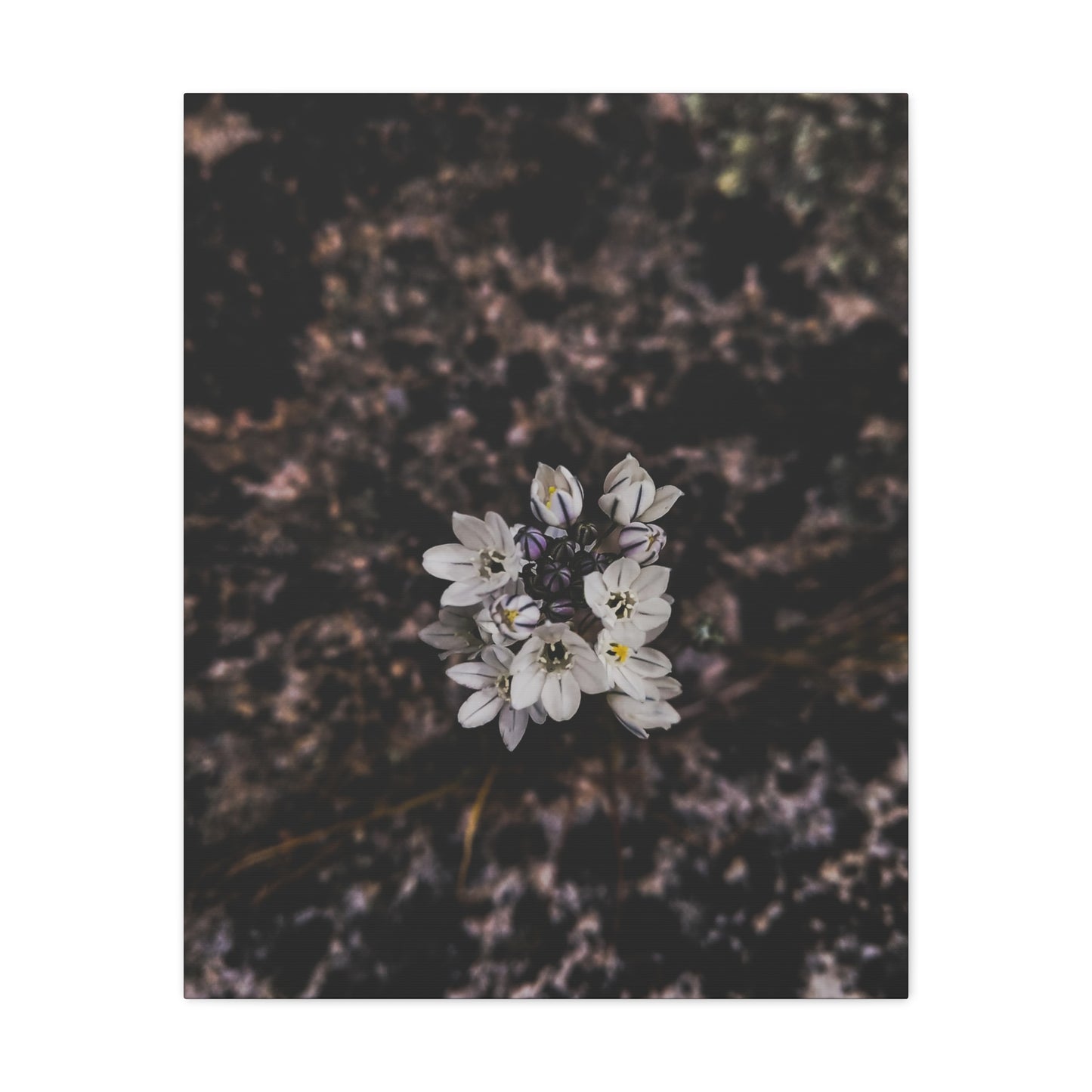 Floral Canvas Print, Wall Art, Boho Home Decor, Perfect Gift for Nature Lovers, Mother's Day, Home Gallery
